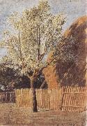 John linnell Study of a Tree Sweden oil painting artist